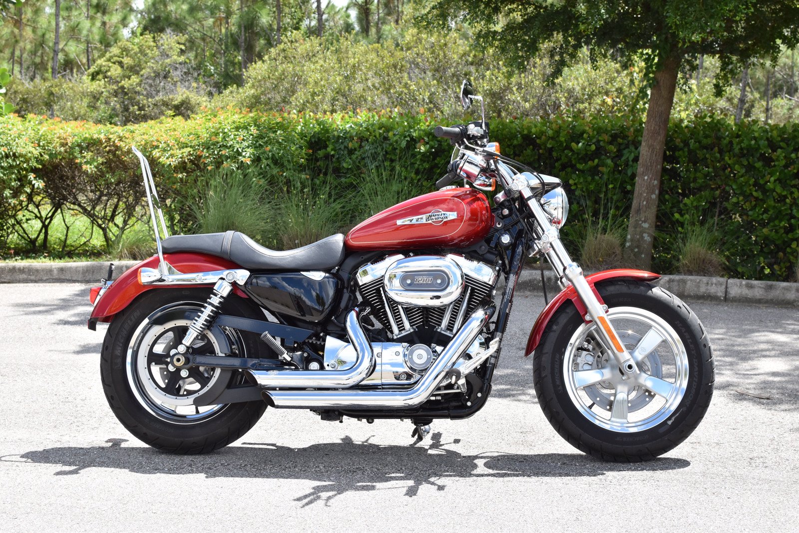 sportster 1200 custom for sale