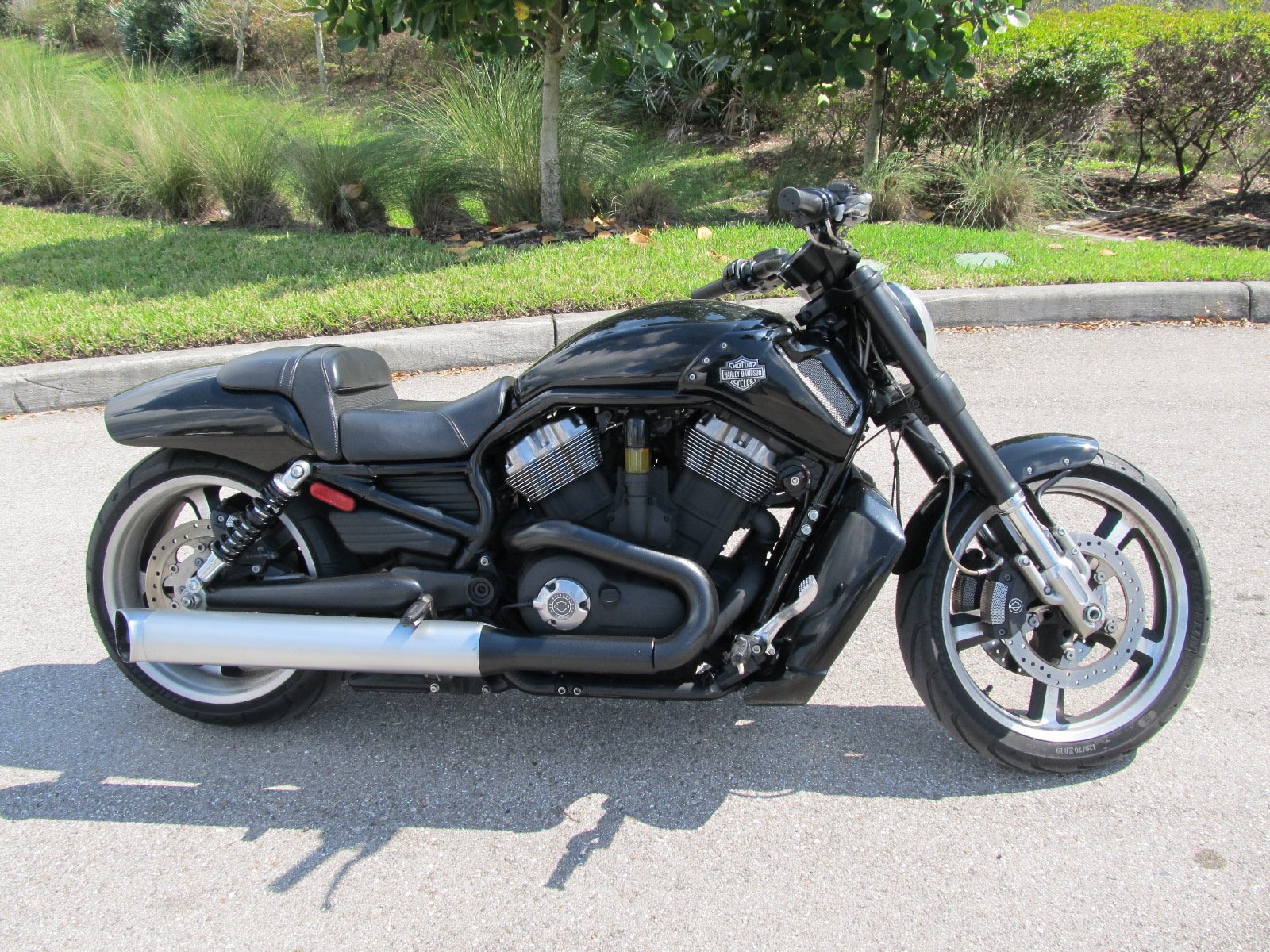 harley davidson v rod price in usa