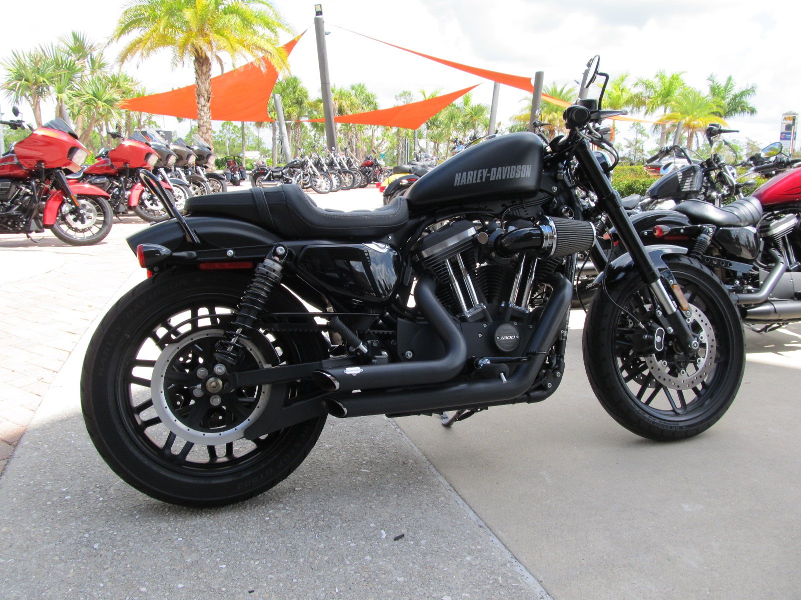 harley davidson sportster roadster for sale