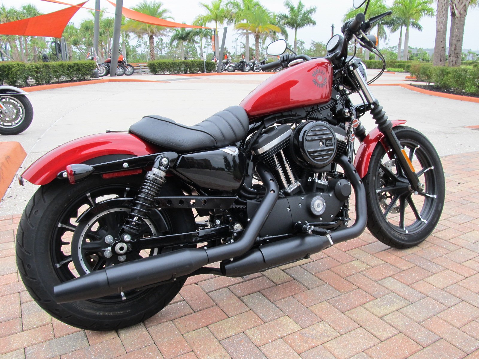 Pre-Owned 2019 Harley-Davidson Sportster Iron 883 XL883N Sportster in ...