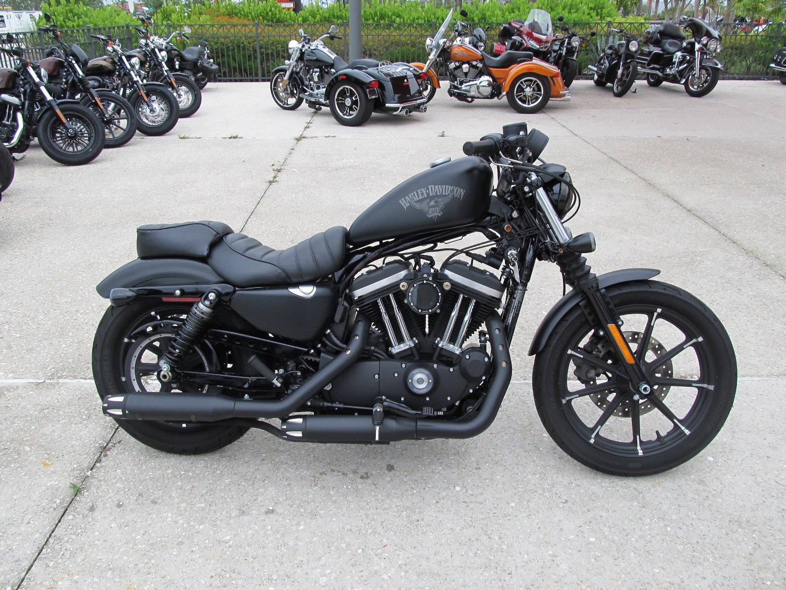 Pre-Owned 2017 Harley-Davidson Sportster Iron 883 XL883N Sportster in ...